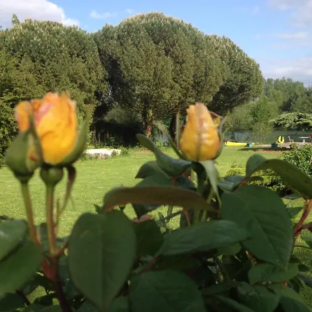 Bed & Breakfast La Maison Du *